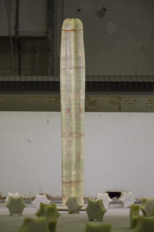 Kaktus-29